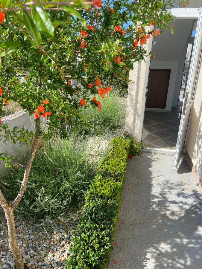 Apartman Danijela Vodice Exterior foto